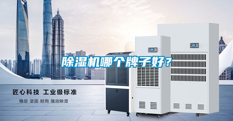 除濕機哪個牌子好?
