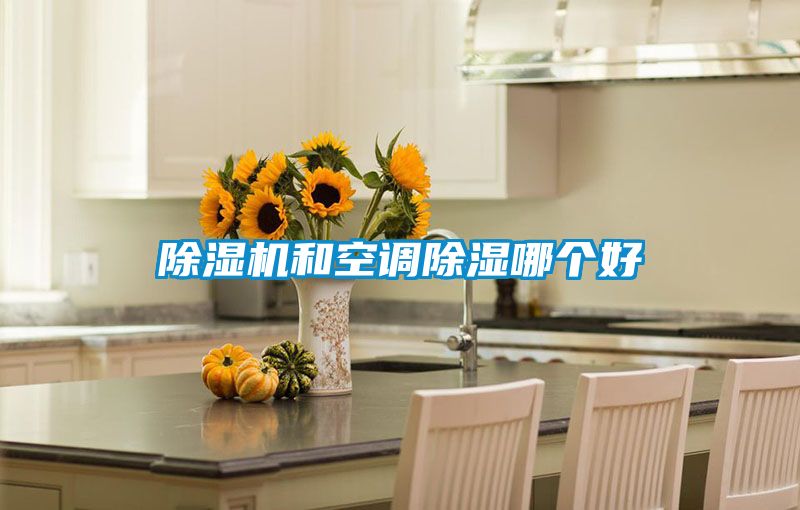 除濕機和空調(diào)除濕哪個好