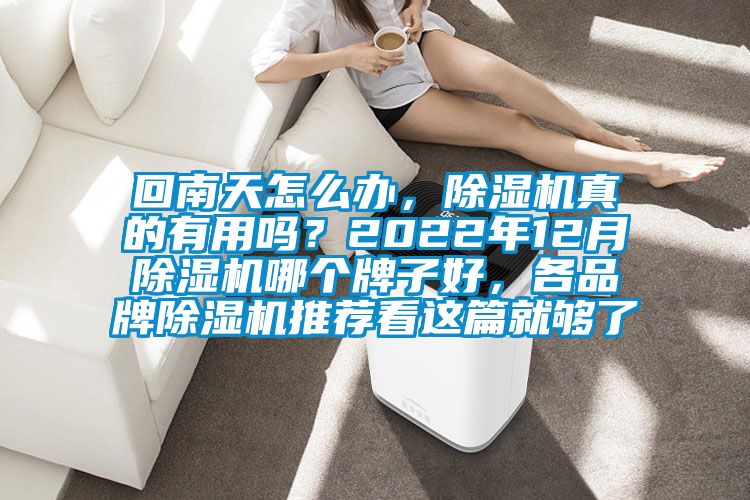 回南天怎么辦，除濕機真的有用嗎？2022年12月除濕機哪個牌子好，各品牌除濕機推薦看這篇就夠了