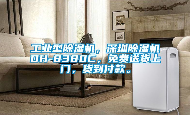 工業(yè)型除濕機(jī),深圳除濕機(jī)DH-8380C,免費(fèi)送貨上門,貨到付款。