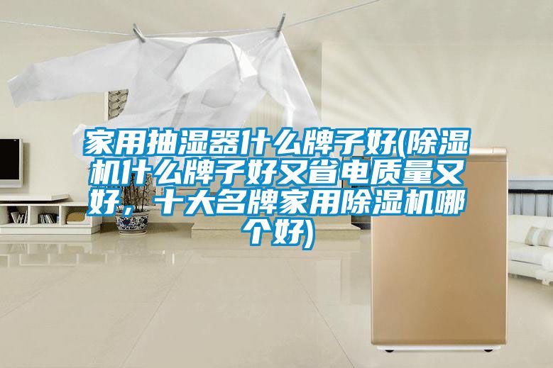 家用抽濕器什么牌子好(除濕機什么牌子好又省電質量又好，十大名牌家用除濕機哪個好)