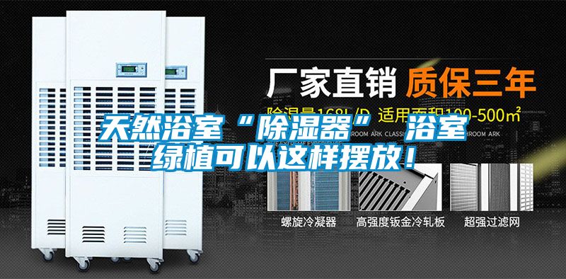 天然浴室“除濕器” 浴室綠植可以這樣擺放！