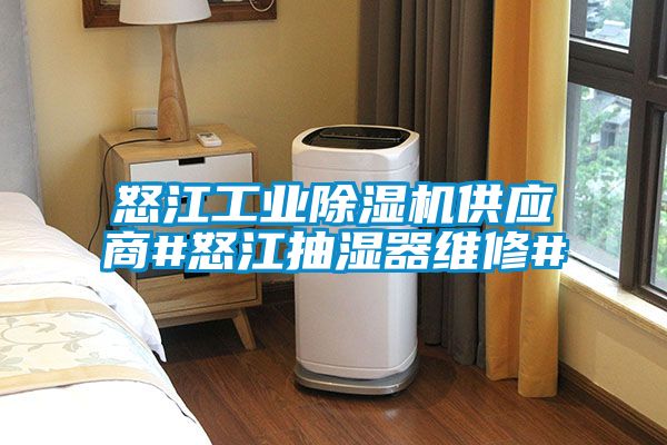 怒江工業(yè)除濕機供應(yīng)商#怒江抽濕器維修#