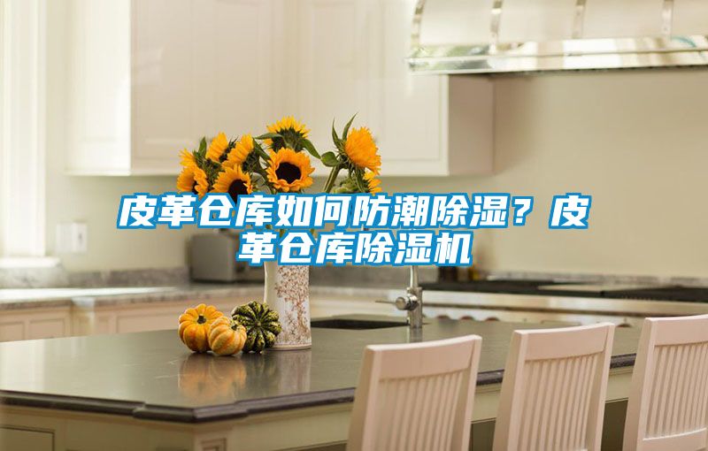 皮革倉(cāng)庫(kù)如何防潮除濕?皮革倉(cāng)庫(kù)除濕機(jī)