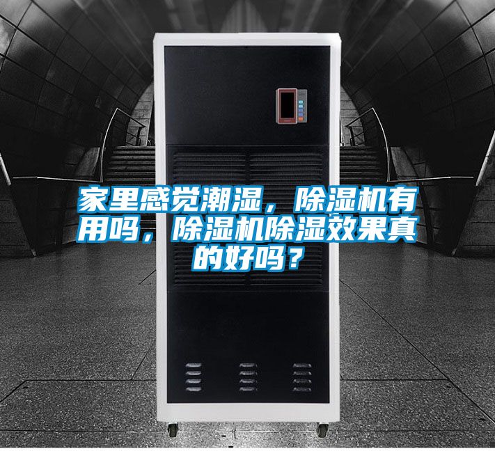 家里感覺潮濕，除濕機有用嗎，除濕機除濕效果真的好嗎？