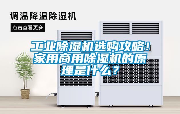 工業除濕機選購攻略！家用商用除濕機的原理是什么？