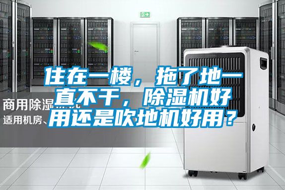 住在一樓，拖了地一直不干，除濕機好用還是吹地機好用？