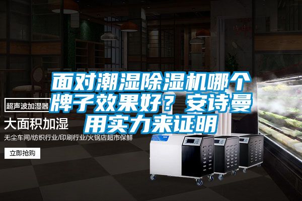 面對潮濕除濕機哪個牌子效果好？安詩曼用實力來證明