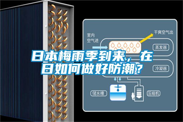 日本梅雨季到來，在日如何做好防潮？