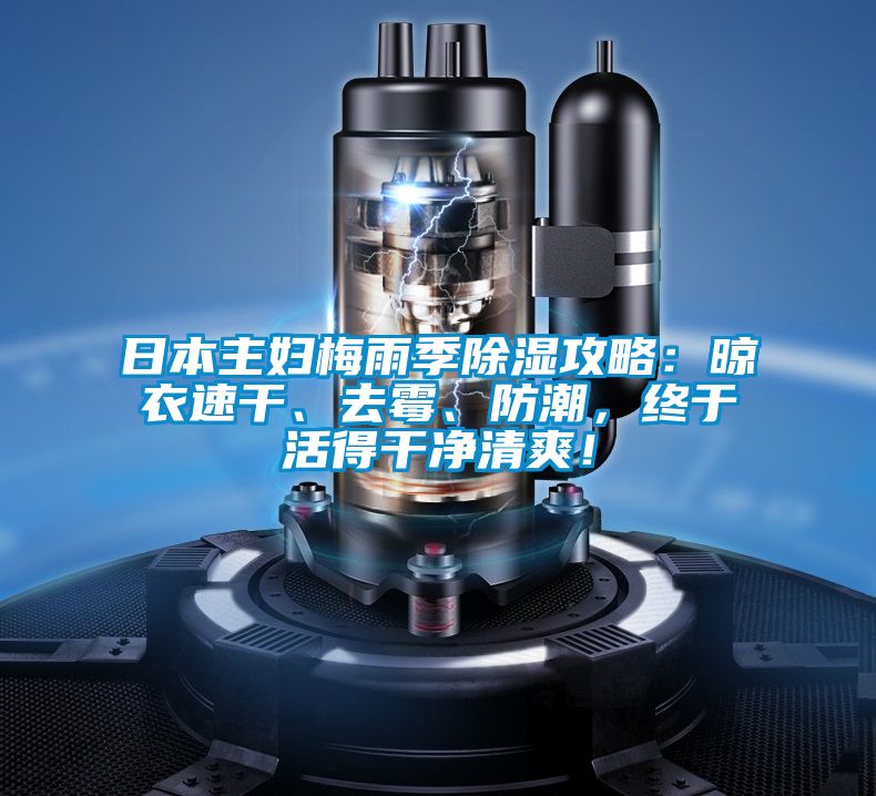 日本主婦梅雨季除濕攻略：晾衣速干、去霉、防潮，終于活得干凈清爽！