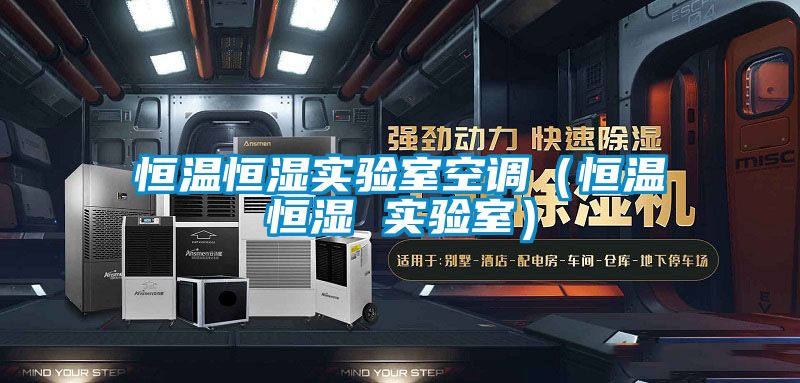 恒溫恒濕實驗室空調(恒溫恒濕 實驗室)