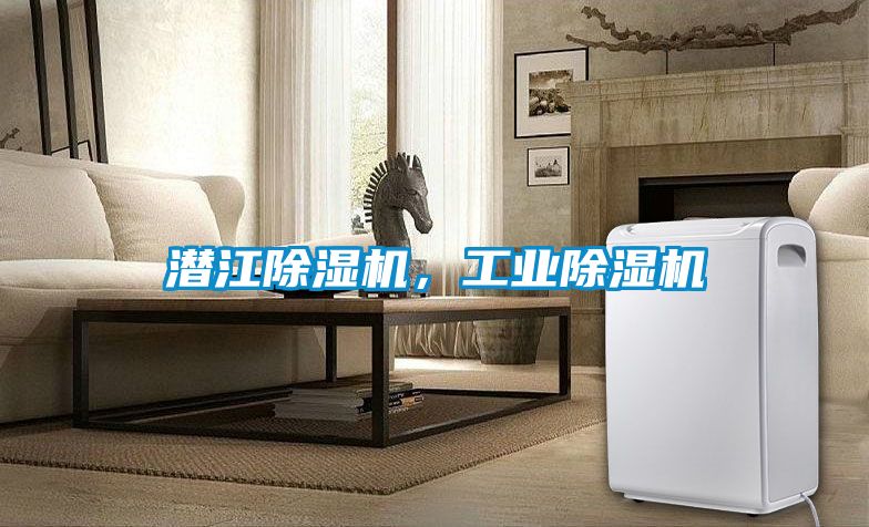 潛江除濕機(jī),工業(yè)除濕機(jī)
