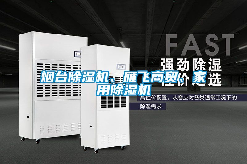 煙臺除濕機、雁飛商貿、家用除濕機