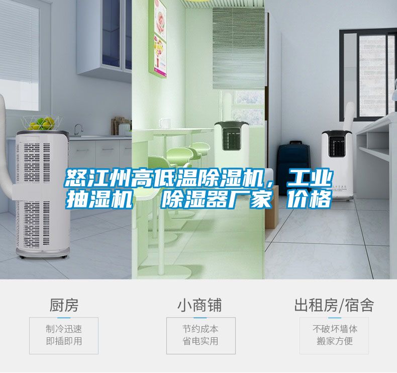 怒江州高低溫除濕機,工業抽濕機 除濕器廠家 價格