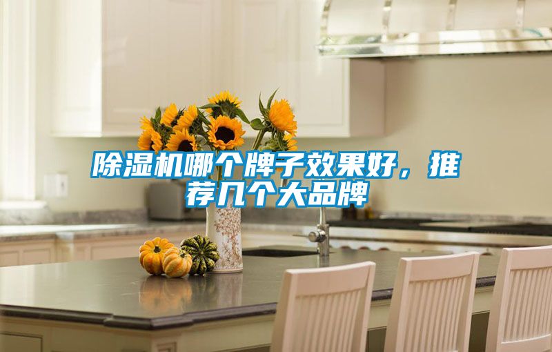 除濕機哪個牌子效果好,推薦幾個大品牌