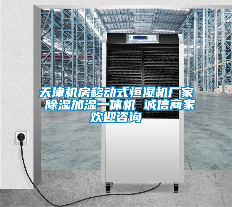 天津機(jī)房移動(dòng)式恒濕機(jī)廠家 除濕加濕一體機(jī) 誠(chéng)信商家歡迎咨詢(xún)