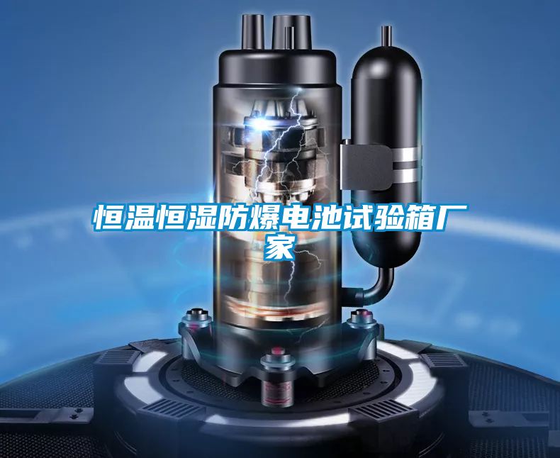 恒溫恒濕防爆電池試驗(yàn)箱廠(chǎng)家
