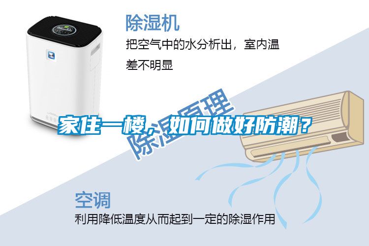 家住一樓，如何做好防潮？